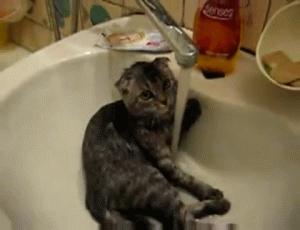 南方人洗澡不搓泥原因,南方人洗澡不搓泥不脏吗