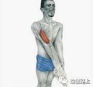 打通胳膊经络锻炼动作和方法,手臂经络不通松解法教程