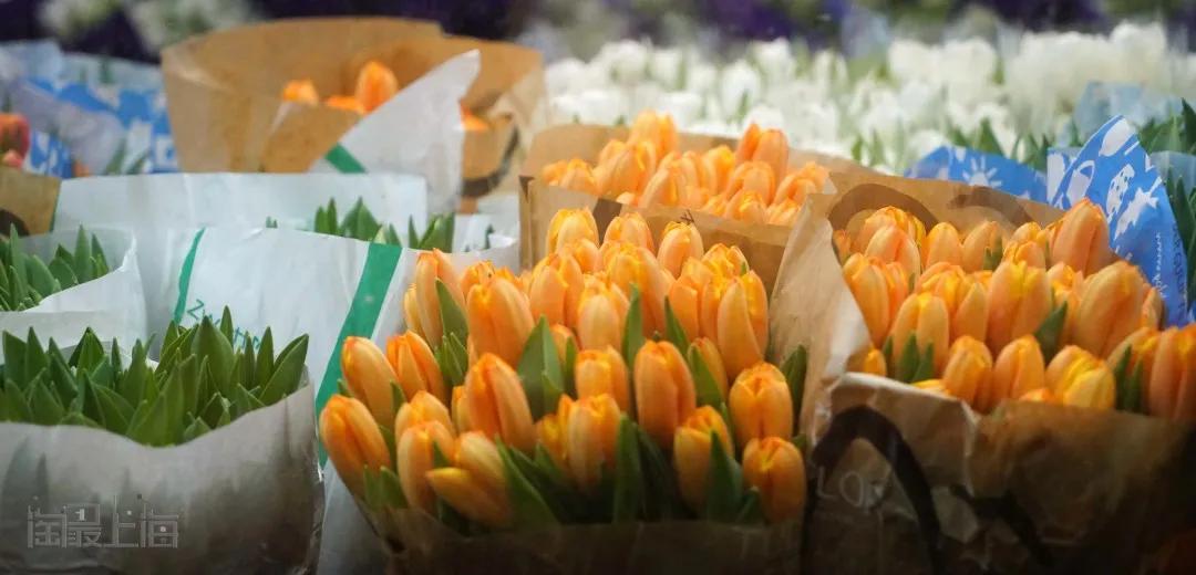 花卉市场晚上营业,今天的花卉市场