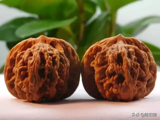 十大鲜核桃,100个精品核桃