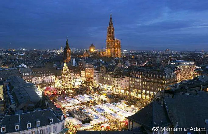 去意大利打工需要什么条件,意大利留学小技巧男