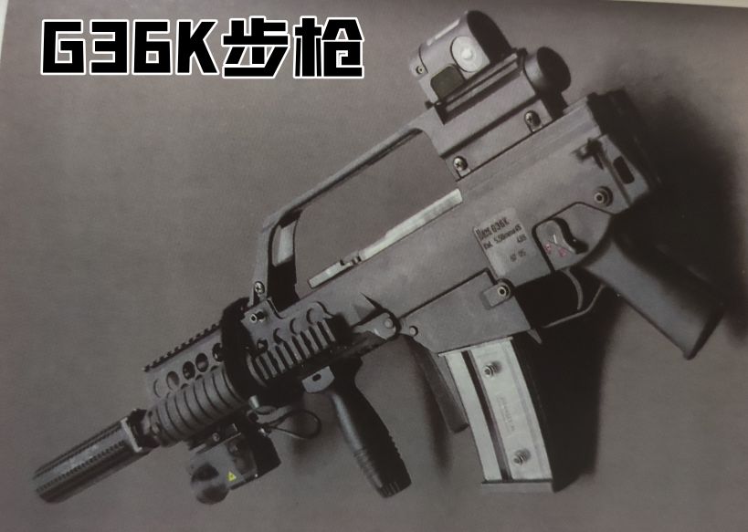 德国1930年的老枪,德国18世纪剑枪图片