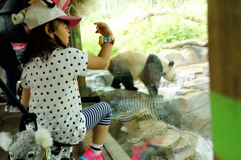 广州旅游攻略长隆动物世界,亲子游广州长隆动物园