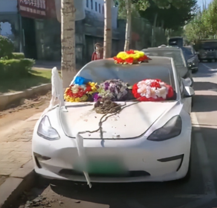 特斯拉花圈事件,温州特斯拉车主道歉信引发的疑问