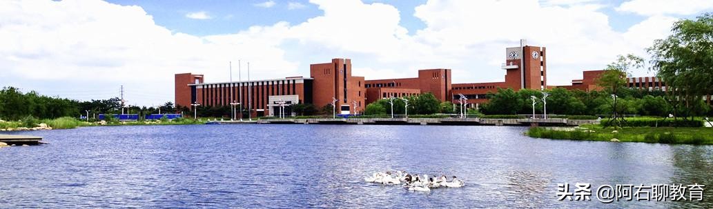 沈阳最低调高校，实力不俗却没人气，这3所稳拿