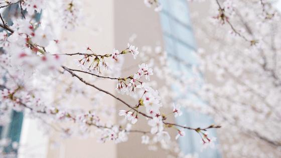 15号线运行线路示意图,15号线看轨道