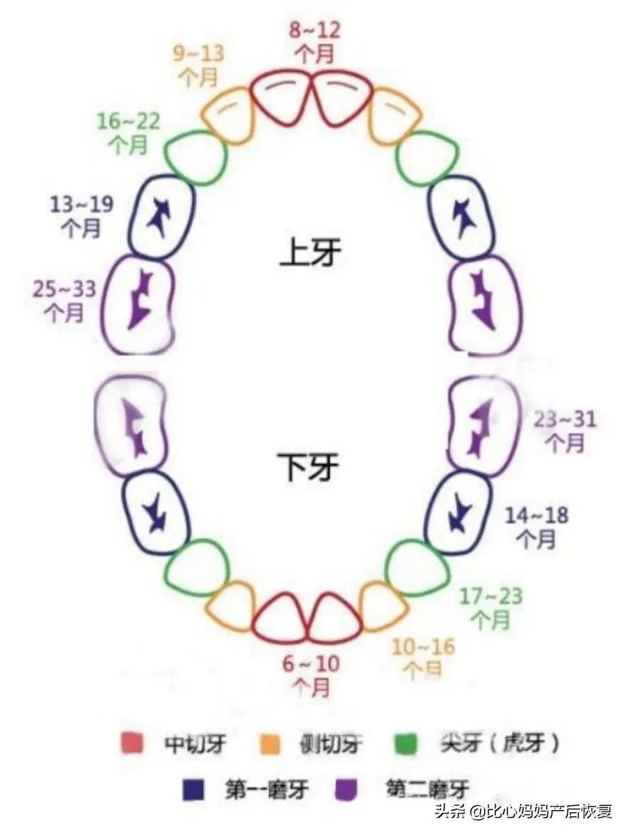 宝宝出牙有什么症状及护理,宝宝出牙的症状和缓解方法视频