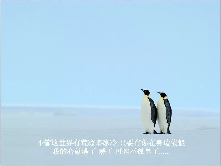 我只想说声爱你,只想再爱你一次