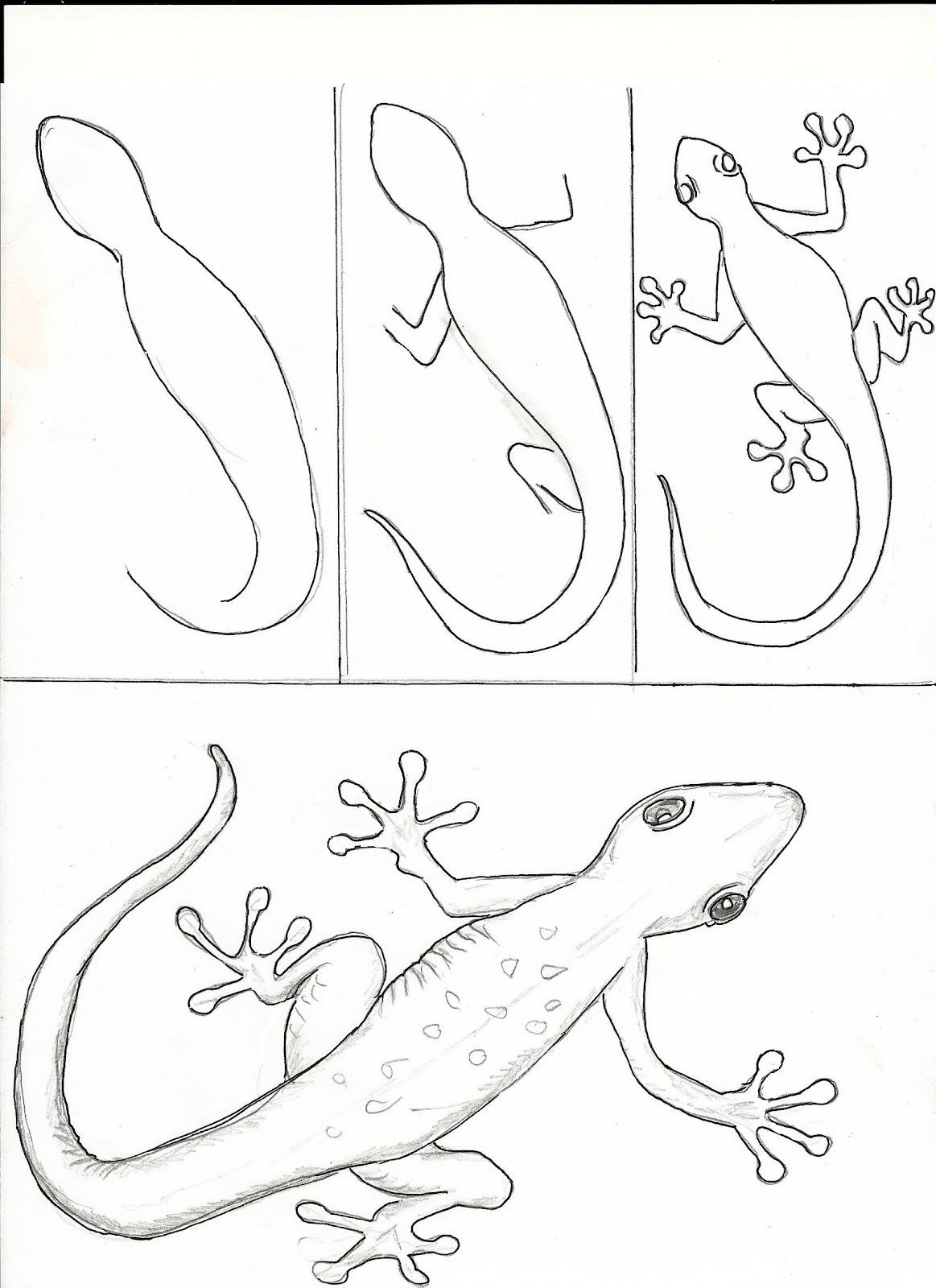 简单可爱的卡通动物画法,怎么画简单又可爱的卡通动物