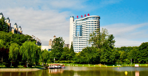 武汉三甲医院全部名单,湖北武汉的三甲医院有几所