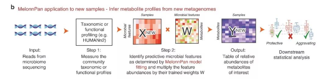 NC|预测代谢组新工具MelonnPan
