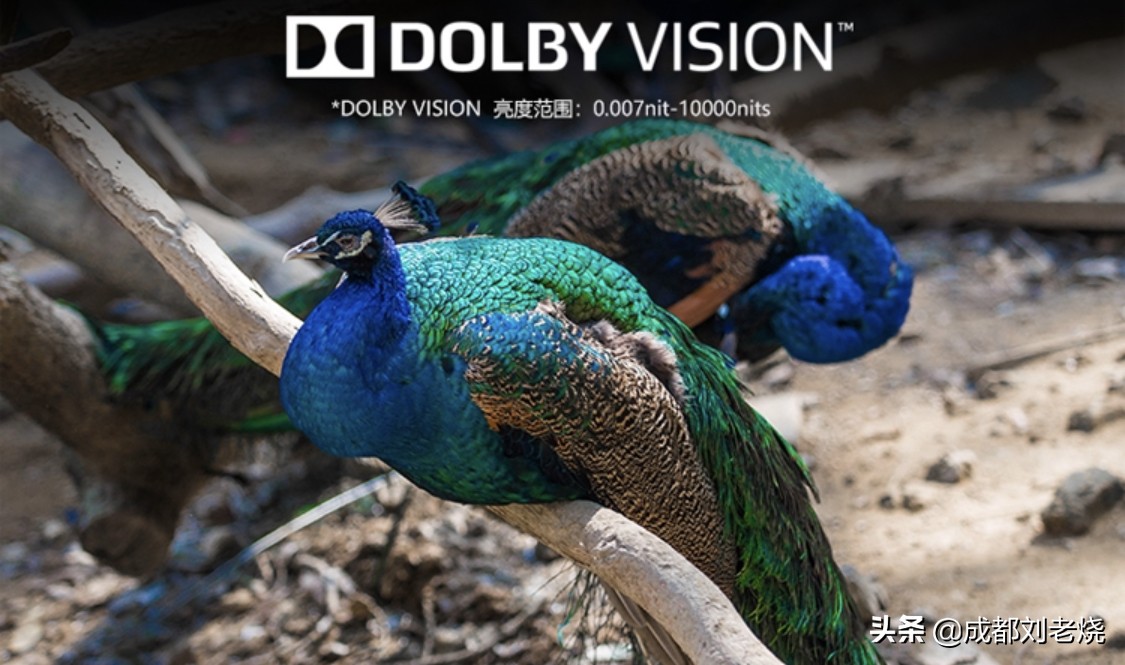 芝杜z10pro和appletv,芝杜z10pro播放器评测