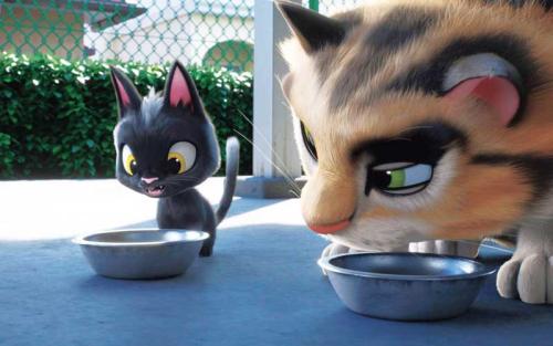 黑猫鲁道夫真人版,黑猫鲁道夫