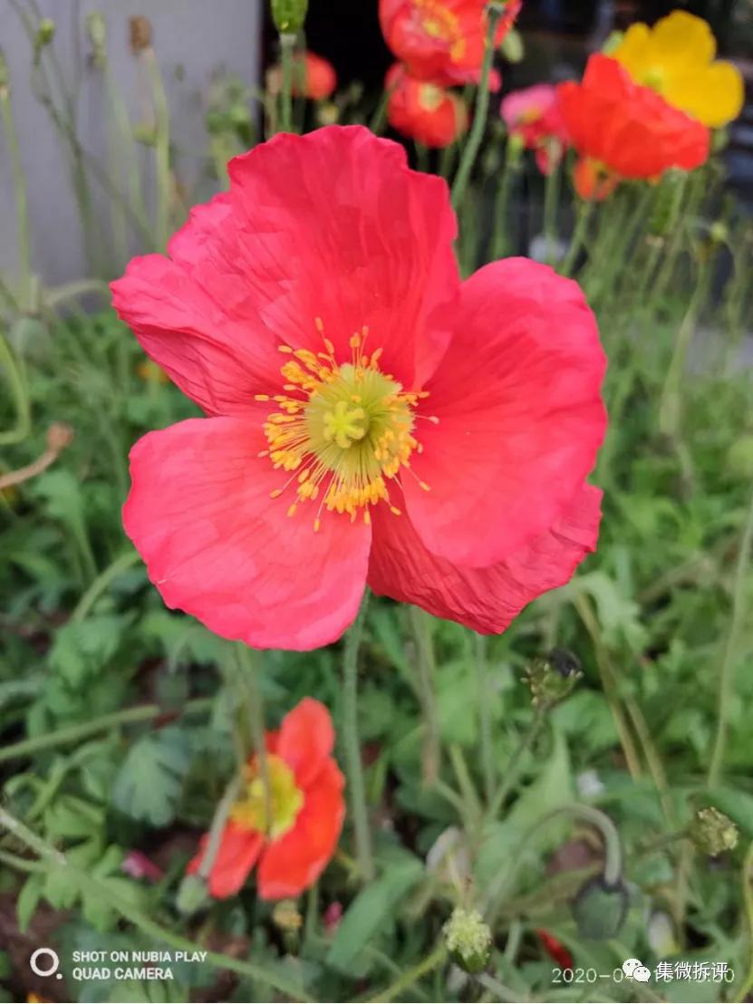 努比亚play和红米note10pro哪个好,努比亚play详细细节测评