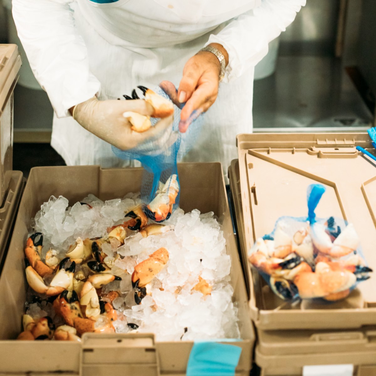 每年只开7个月赚进3800万美金！这家只卖蟹螯经营出百年老店