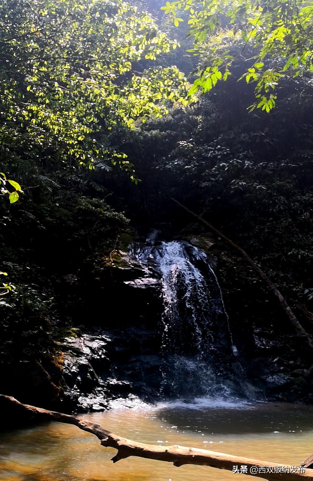 勐海旅游攻略自由行路线图,中国旅游日云南西双版纳