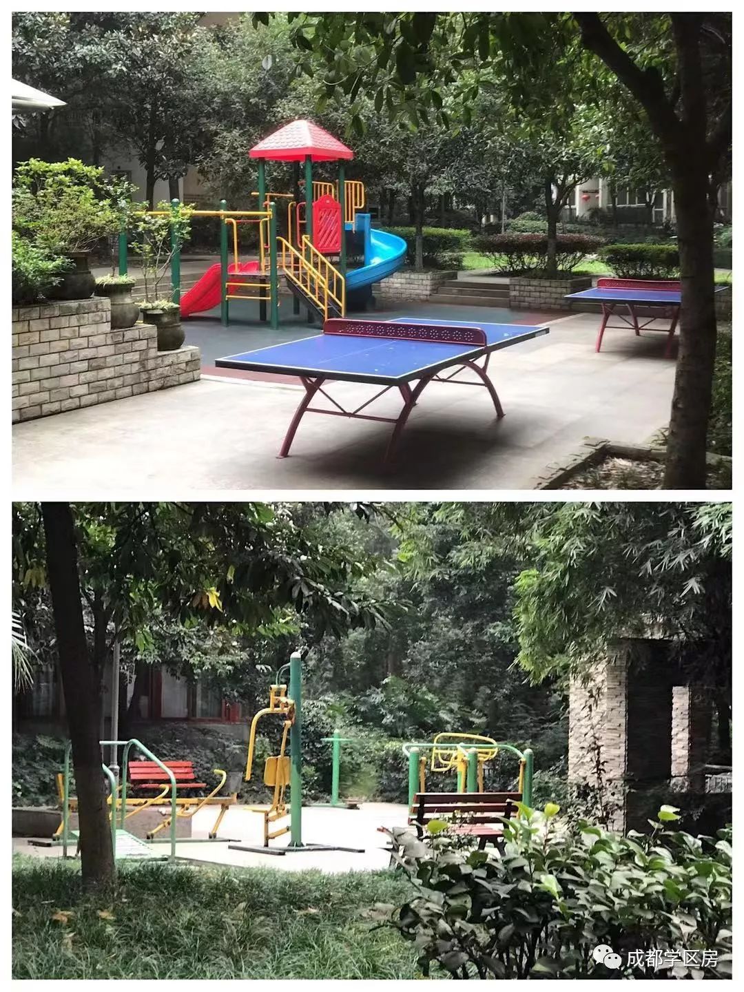 和泡小非常像的一个分校之最全盘点！​