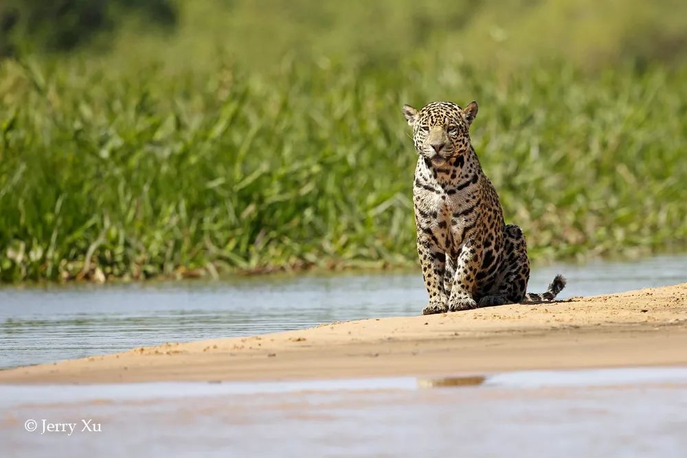 汇率起起伏伏，自然旅行跟着这张表格走，最划算