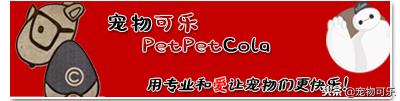 新手铲屎官必备优质狗粮要怎么挑,80%铲屎官都不知道的狗粮品牌