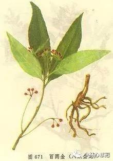 中药药材大全及功效,补肾中药大全及功效