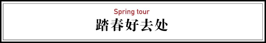 疫情结束房子会降价吗,疫情结束后又发生了什么事