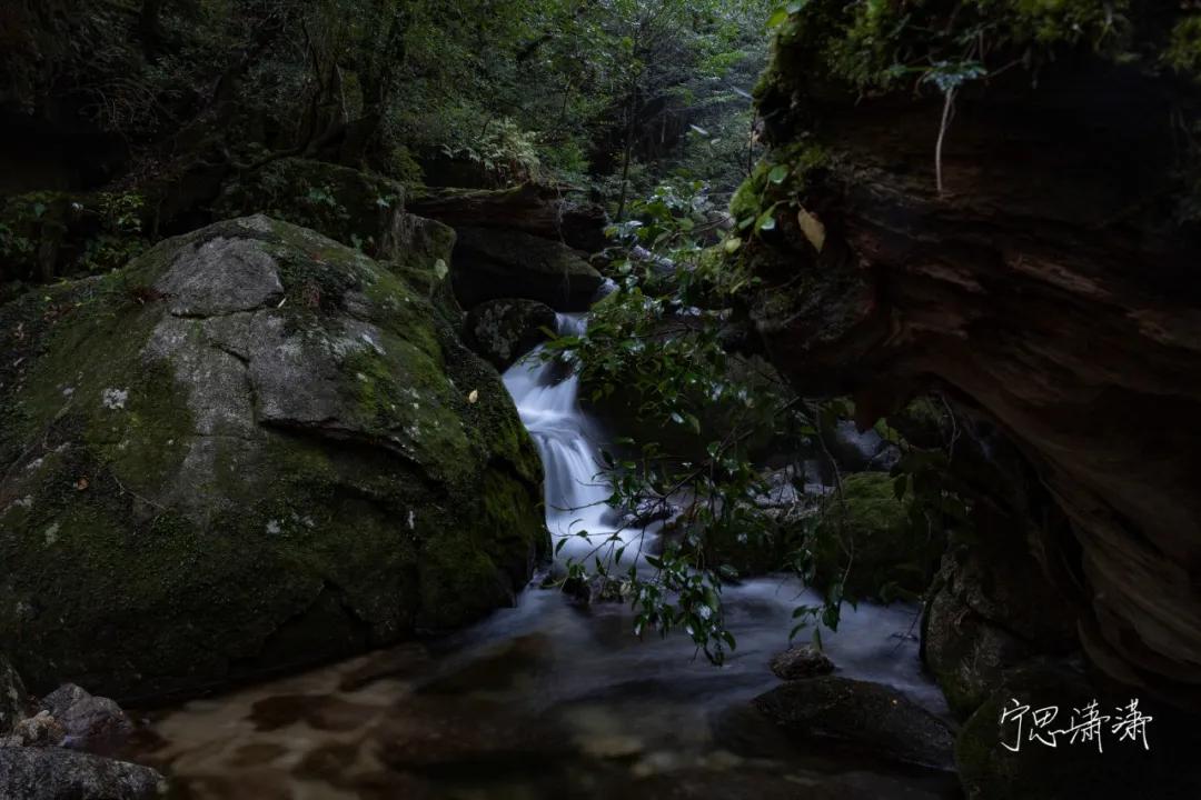 佳能微单rf卡口可用ef镜头吗,佳能微单买转接头还是rf卡口