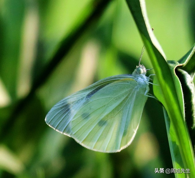 盛京3天深度自驾游好去处推荐,盛京游记