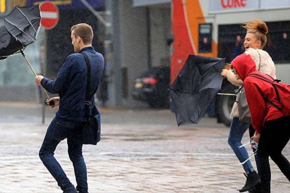 绅士照片英伦,绅士图片大全高清图