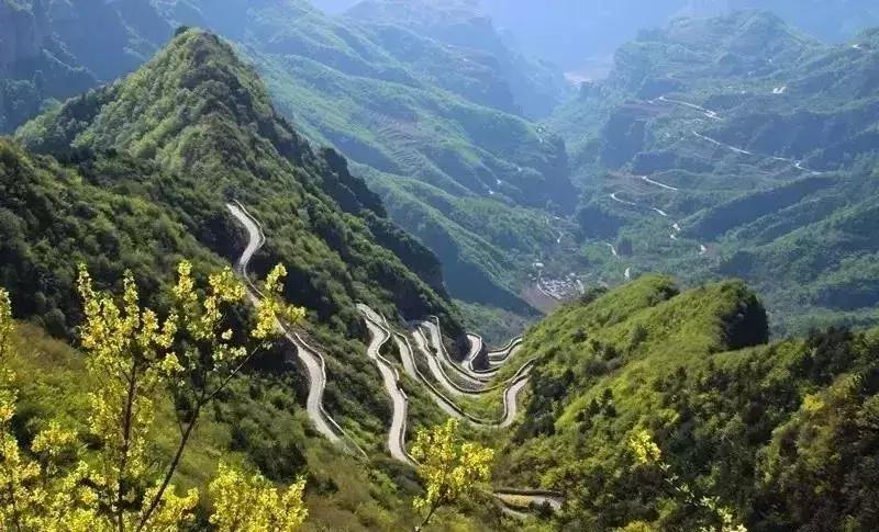 来迟了古诗词,来迟了原版