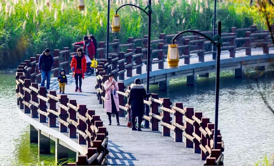 3月底天府绿道哪段最美,天府绿道介绍及特色