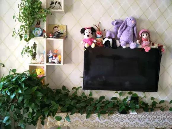 绿萝烂根怎么养才能更旺盛,绿萝怎样养才能养得更旺盛