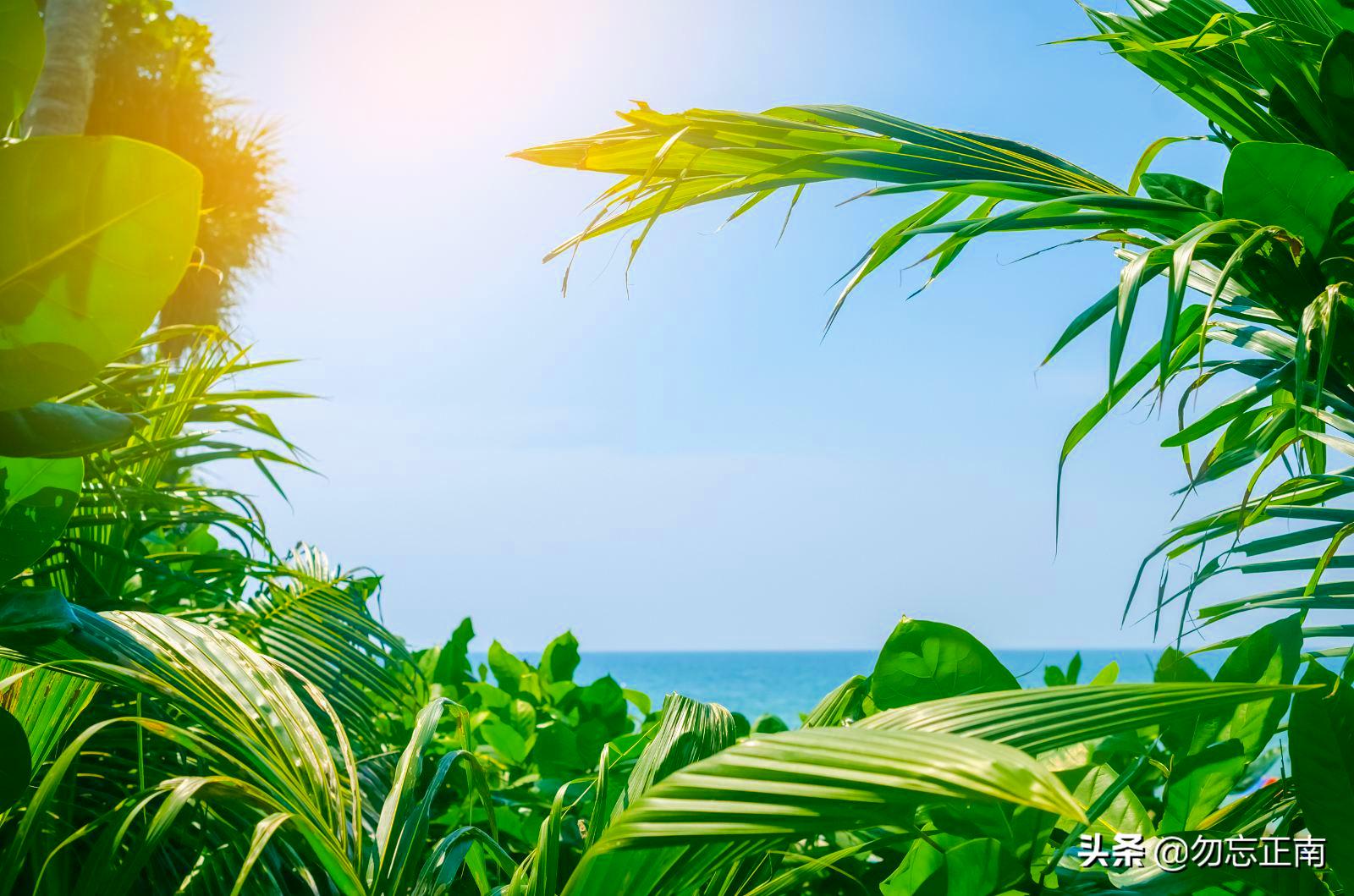 中国海滨城市北海,北海一座来了不想走的城市