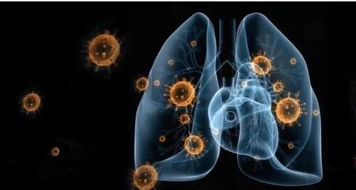 对付新冠病毒最好的方法是免疫力,免疫系统如何打败新冠病毒