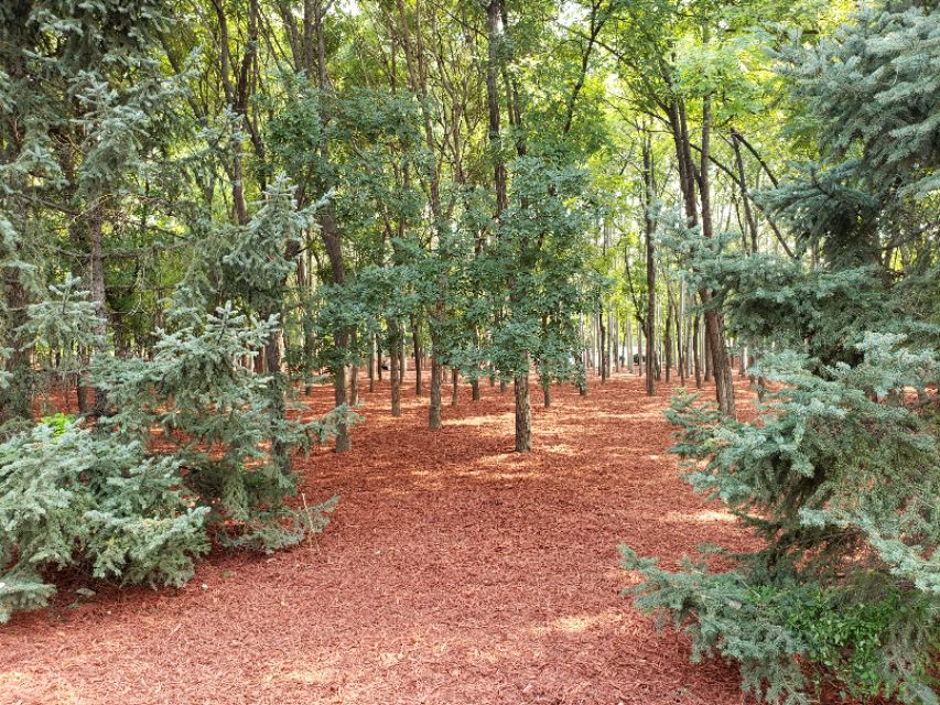 北京适合带娃遛狗的公园推荐,北京适合带娃溜达的公园