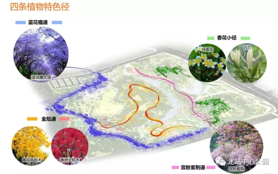 深圳建最大足球场,深圳足球公园效果图