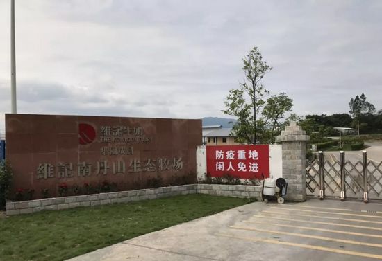 风靡香港79年，连续获得本土牛奶品牌销冠，今天带你解密维记牛奶