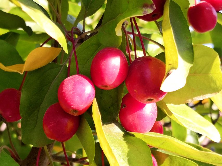 众创网校简介,众创网校官网