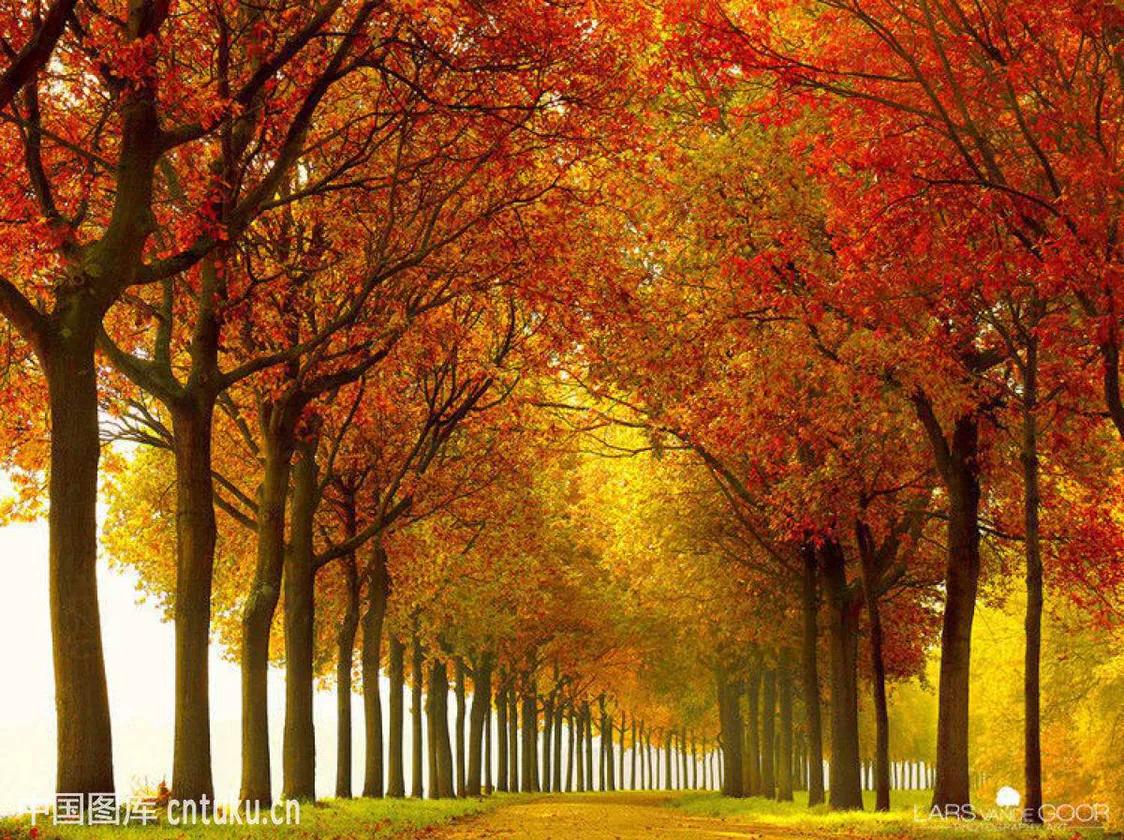 乙肝药替诺福韦怎么样,乙肝药有什么副作用