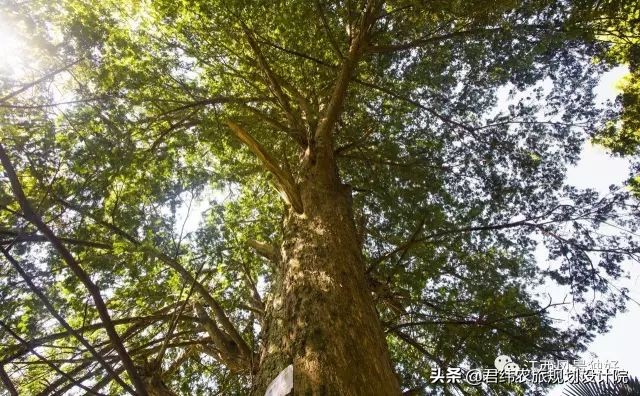 走遍江西100个县抚州,走遍江西100县铅山