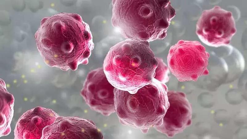 酵素功效配方大全,什么是酵素酵素对身体有什么作用