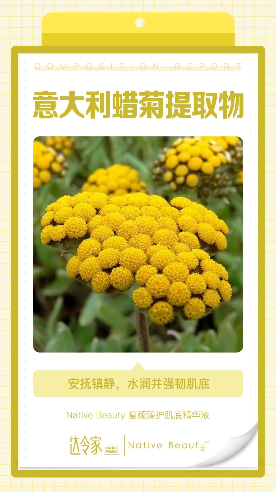 nativebeauty复颜臻护安瓶精华28支,nativebeauty复颜臻怎么样