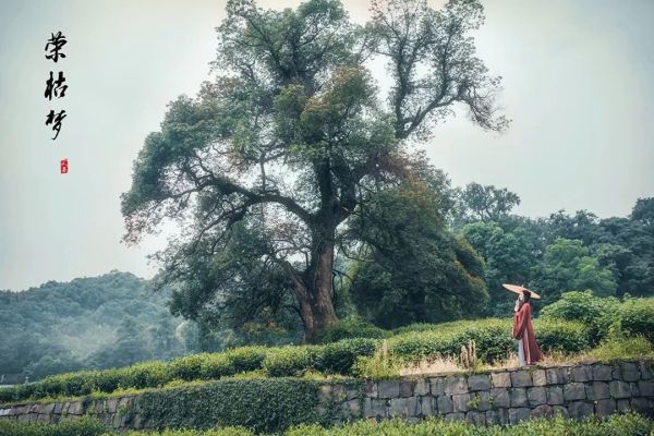 24个杭州古风拍摄地，随便一按都是张武侠大片！
