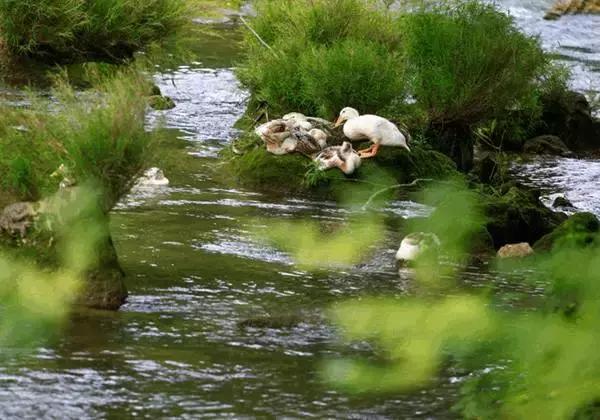 柳州到九寨沟自驾游攻略路线图,从广西柳州去九寨沟路过哪些景区