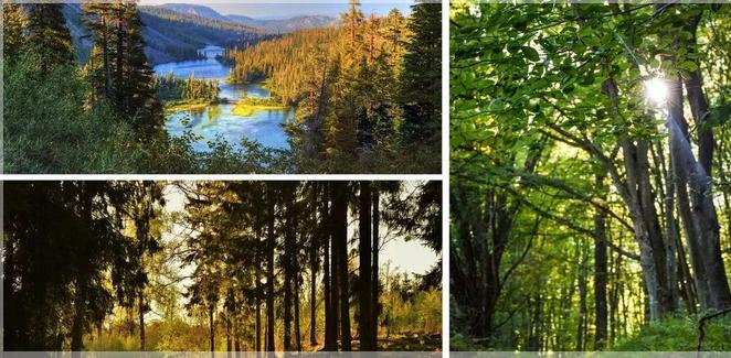 澳凡实木家具,澳凡家居