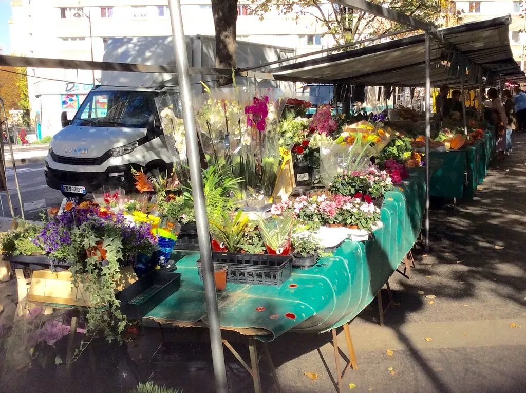 南亚洋葱行情 (南亚洋葱涨价了吗)