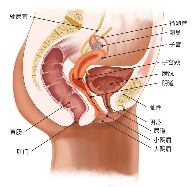 沙雕卵巢保养手法,这些奇葩的养生方法你敢试吗