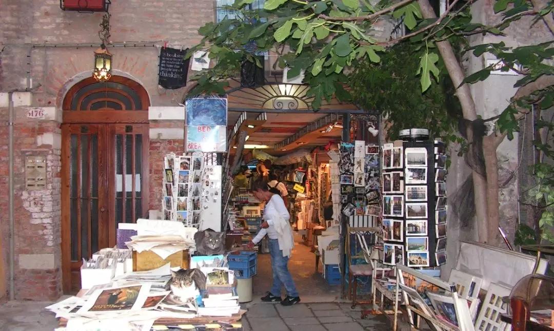 带孩子逛书店看到一套读物,带孩子看看书里的世界