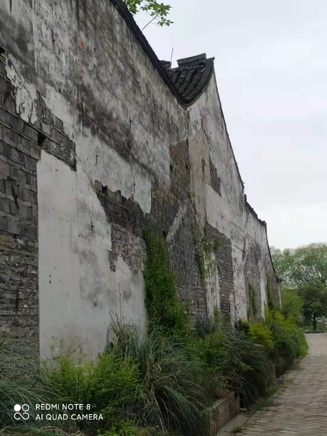 江南黎里古镇照片,寻找最美江南之黎里古镇