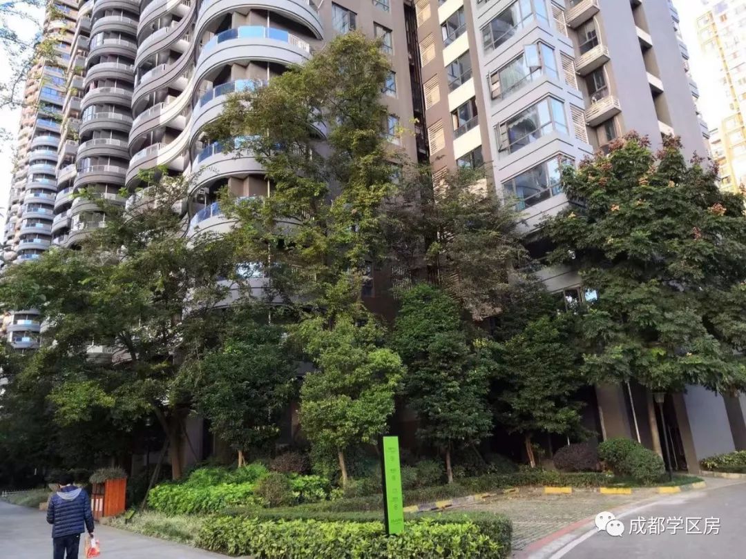 天府新区好的学区房有哪些,天府新区小学排名及周边楼盘