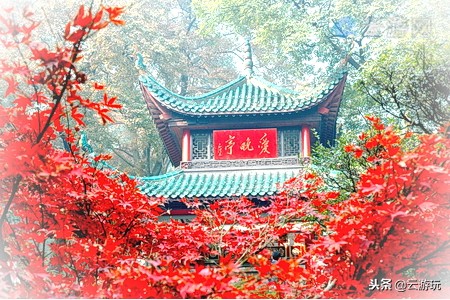 盘点湖南十大必玩景点,湖南旅游十大景点排行榜